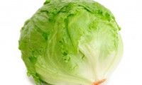 lechuga redonda